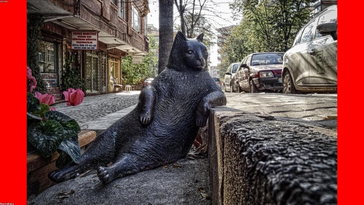 Phase 2: Rapid Build